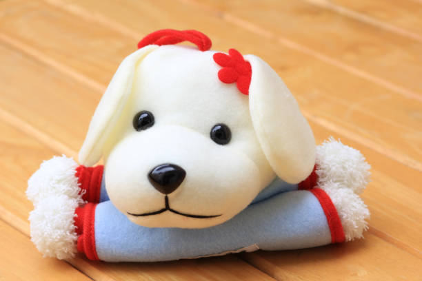istock Doll Dog white on a wooden background 645475106