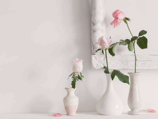 istock flowers in a vase on white background 645475146