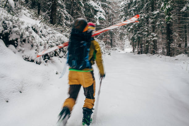 Young man with ski walking in the snow forest stock photo