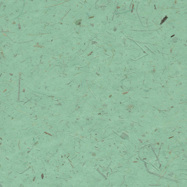 istock Green paper background with dried plants 645479124