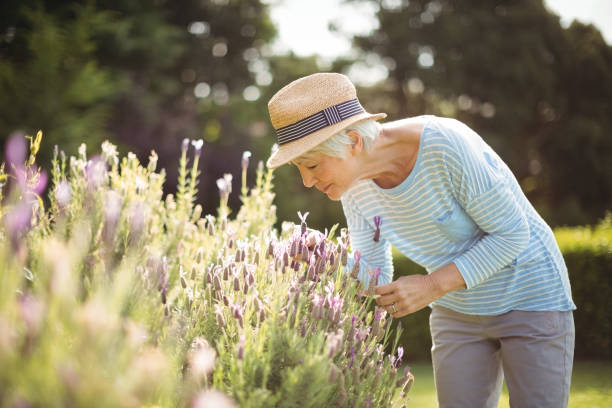 mujer mayor oler las flores - oliendo fotografías e imágenes de stock