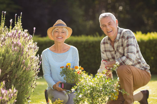 istock Senior couple gardening together 645481808