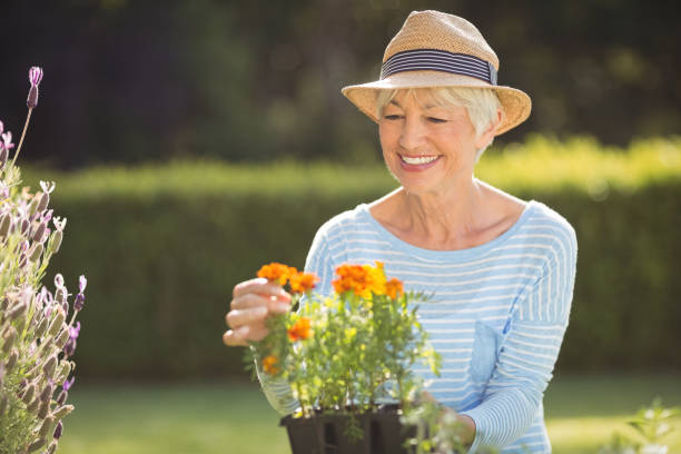 istock Senior woman gardening 645481866