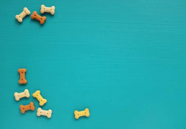 Galletas de perro esparcidas sobre un fondo turquesa - foto de stock