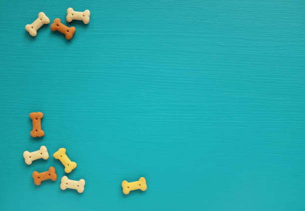 Dog biscuits scattered on a turquoise background Bone-shaped dog biscuits scattered as left border on a turquoise painted wooden background dog food photos stock pictures, royalty-free photos & images