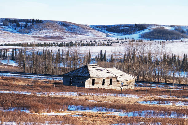 Beautiful wintry landscape with view of the remnants of the old Glenbow Store in the  Glenbow Ranch Provincial Park,a provincial park located in the Bow Valley , between the city of Calgary and the town of Cochrane in Alberta,Canada Glenbow Ranch Provincial Park is located between the city of Calgary and the town of Cochrane in Alberta,Canada. cochrane alberta photos stock pictures, royalty-free photos & images