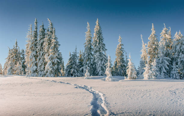 istock Fantastic winter landscape, steps, something leading into the mo 645487294