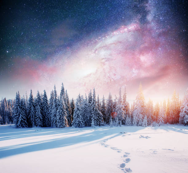 istock starry sky in winter snowy night. fantastic milky way in the New 645488708
