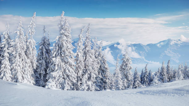 istock Mysterious winter landscape majestic mountains 645491304