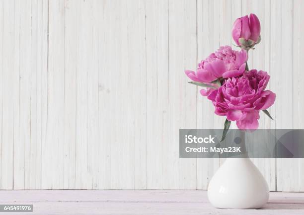 Peony Flowers In Vase On White Background Stock Photo - Download Image Now - Vase, Flower, White Color