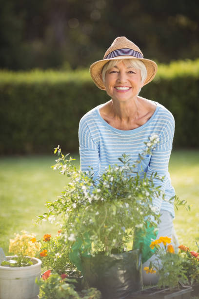 istock Senior woman gardening 645492006