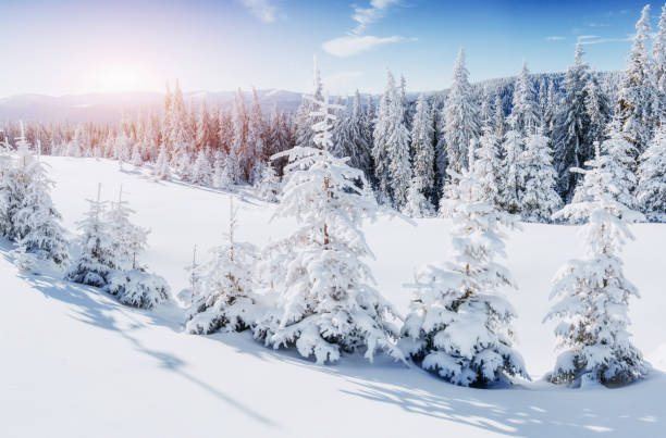 istock Mysterious winter landscape majestic mountains 645492202