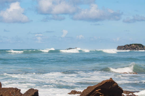 istock Dominican Republic beach 645494434