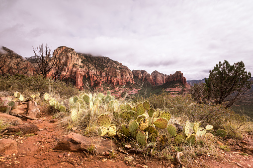 Wide angle shot of the Sedona wilderness and desert from Soldier's Pass trail.