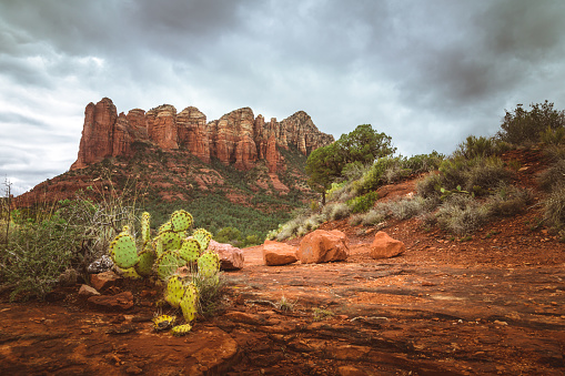 Wide angle shot of the Sedona wilderness and desert from Soldier's Pass trail.
