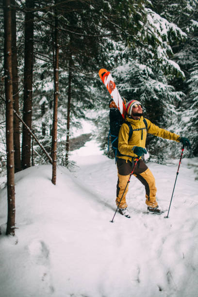 Young man with ski walking in the snow forest stock photo