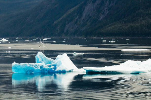 istock Iceberg in Tracy Arm 645496550