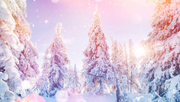 istock Mysterious winter landscape majestic mountains in 645502796