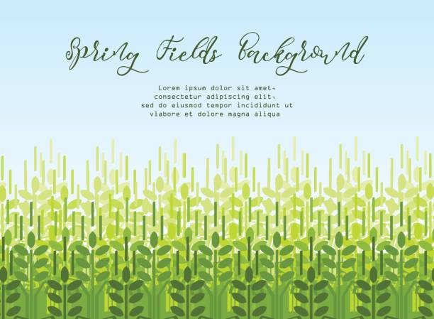 Wheat grain background. Spring agro pattern Farming spring background with green wheat shoots. Agriculture vector pattern farmer silhouettes stock illustrations