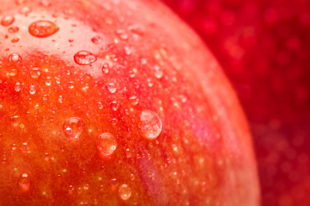 istock red wet apple with big droplet, macro shot 645528162