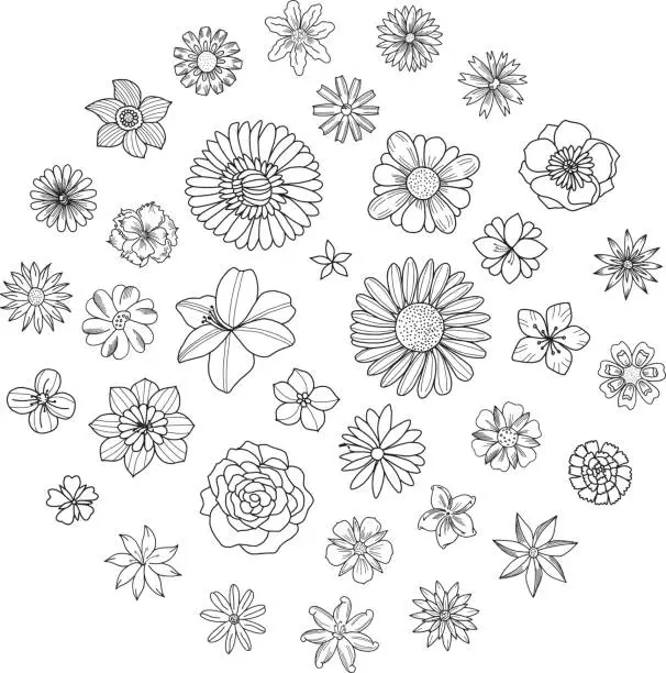 Vector illustration of Spring Flowers Doodles