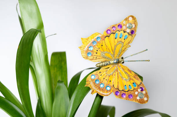 istock Beautiful butterfly on the sheet. 645543490