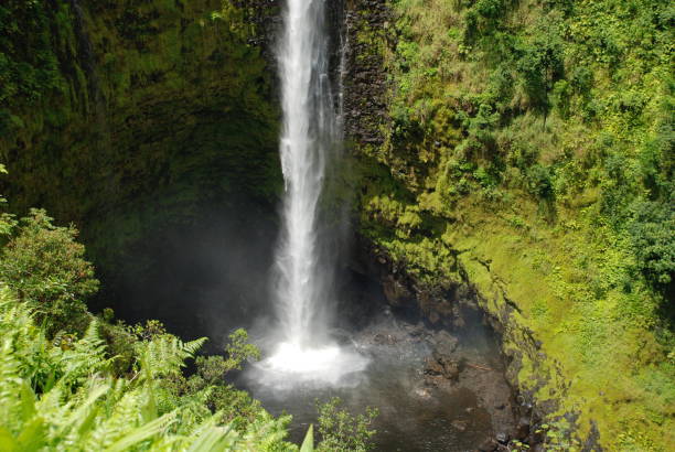 akaka falls  - hawaii inselgruppe stock-fotos und bilder