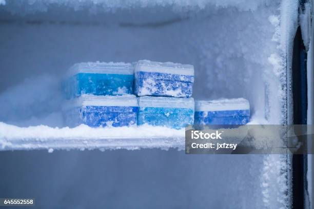 80 Degree Frige In The Lab Stock Photo - Download Image Now - Freezer, Refrigerator, Ice