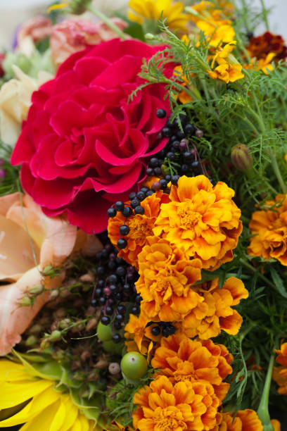 istock beautiful bouquets of flowers and herbs 645558018