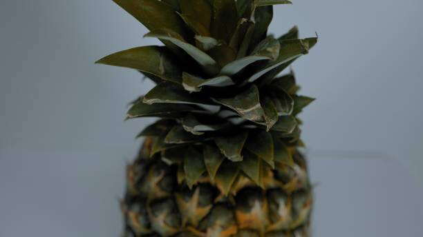 istock Moving studio sot of a pineapple 645558718
