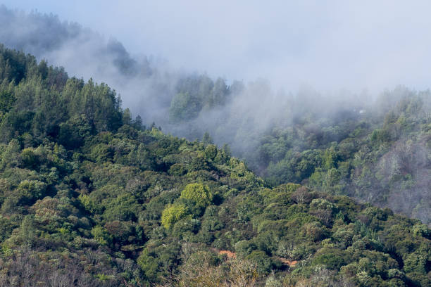 istock Mist Over the Mountain Tops 645564618