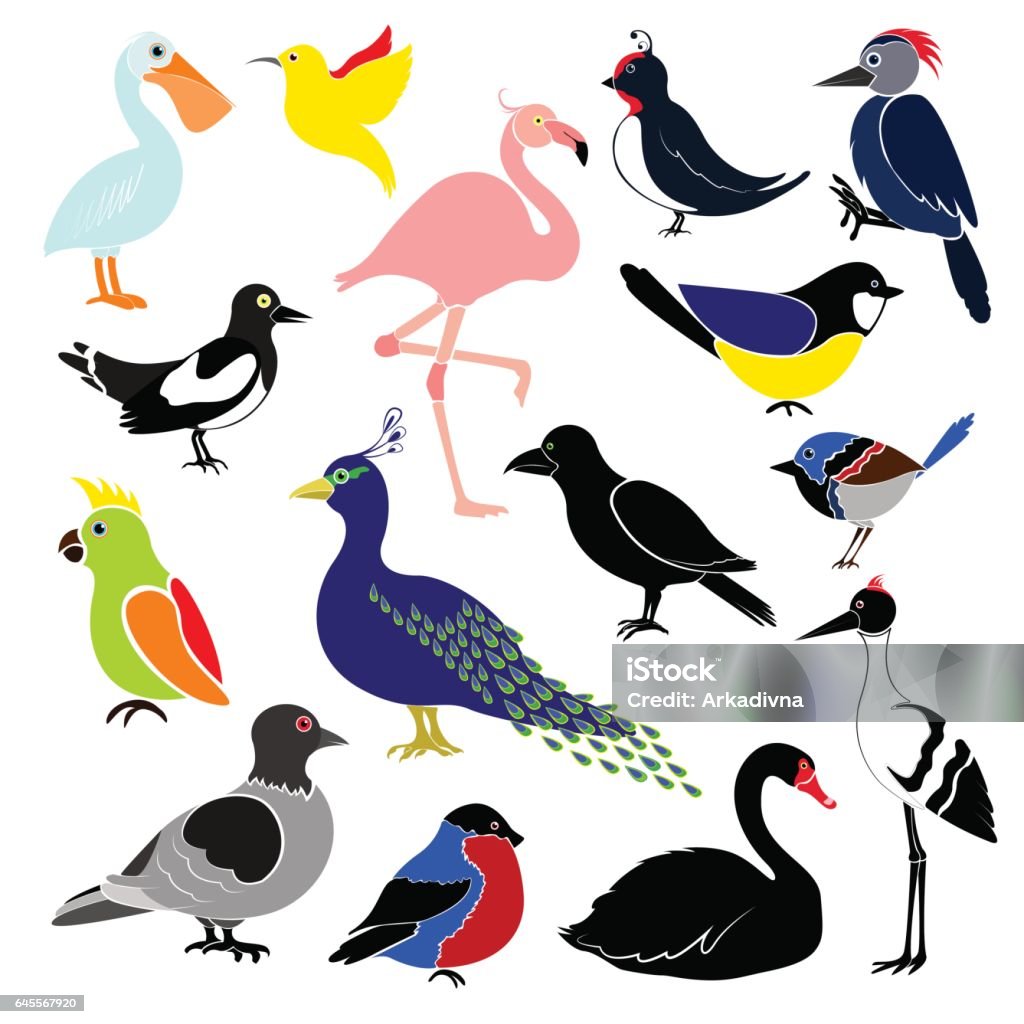 Different Birds Isolated On White Background Stock Illustration ...