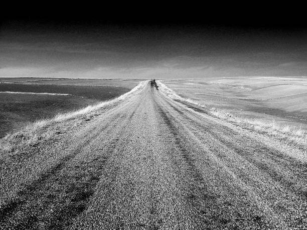 istock Asphalt road images for design and graphics 645572984