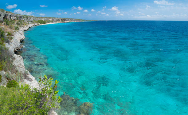 istock Caribbean paradise on Bonaire 645578676