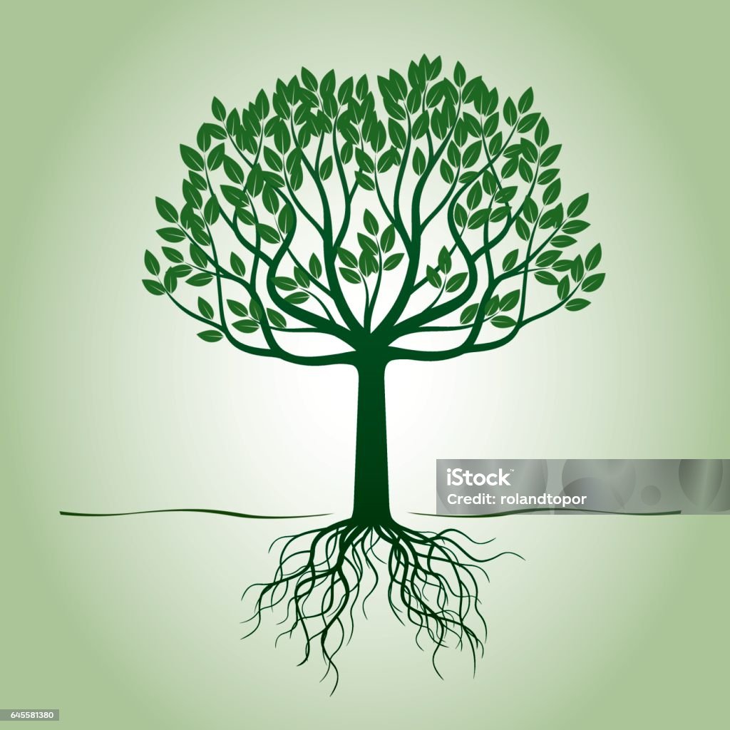 Vector Tree With Roots Green Tree With Roots Vector Illustration Stock Illustration - Download ...