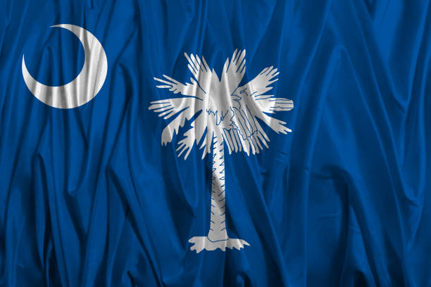 istock US state flag of South Carolina 645581402