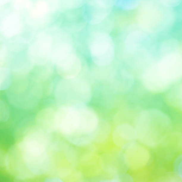 istock Bokeh of nature green background 645592050