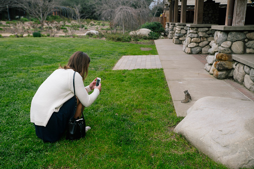 Girl taking a picture of a squirrel.