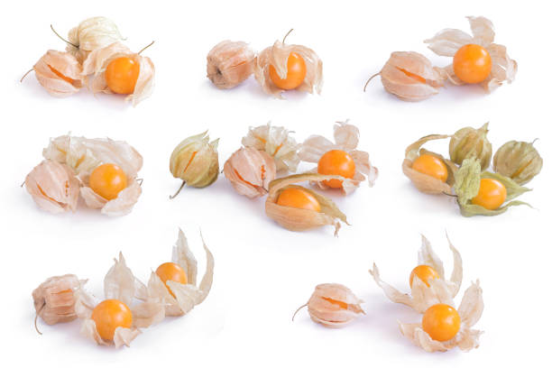 istock cape gooseberry (delicious physalis) fruit in close-up isolated on white background 645594886