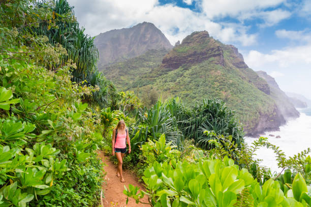 istock Hiker Celebrating The Beauty 645600500