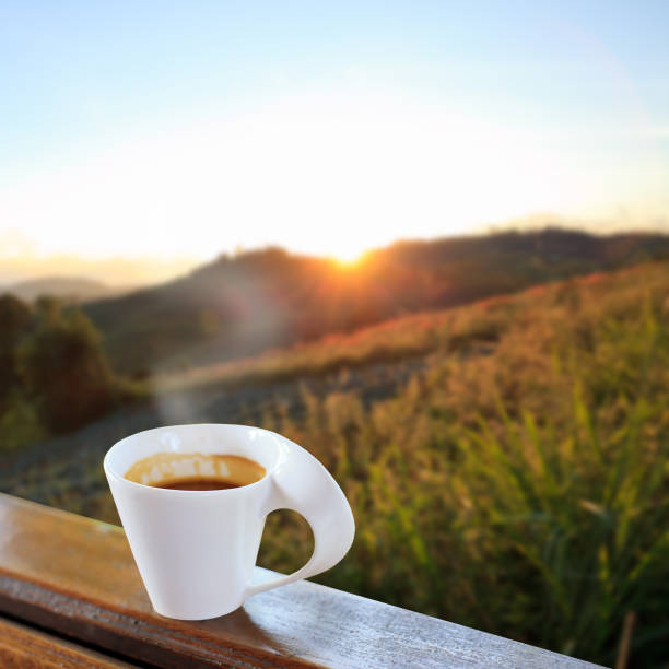 istock Cup Of Hot Coffee 645600594