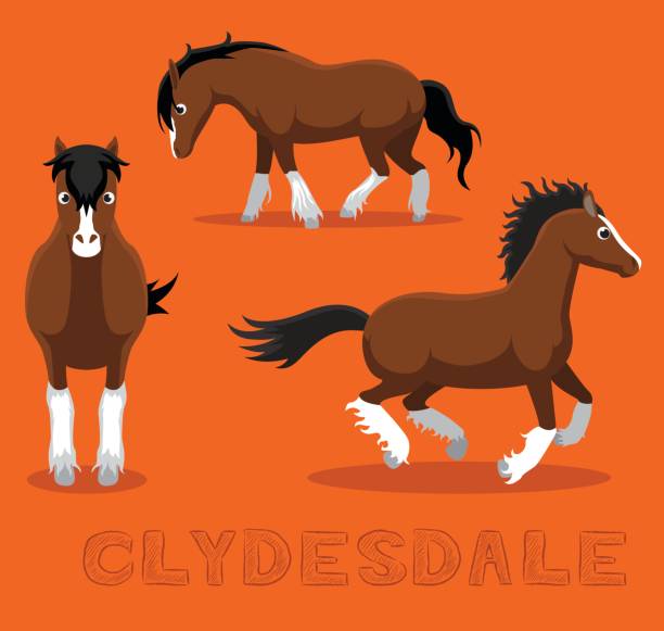 at clydesdale karikatür vektör çizim - clydesdale stock illustrations