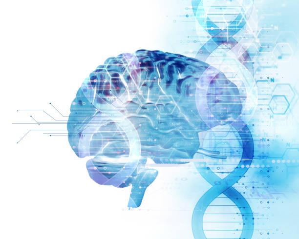 dna 분자 추상적인 기술에 인간의 두뇌의 3d 그림 - dna chip stock illustrations