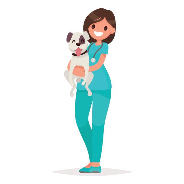 ̧ 1/20 - vet veterinary medicine dog doctor stock illustrations