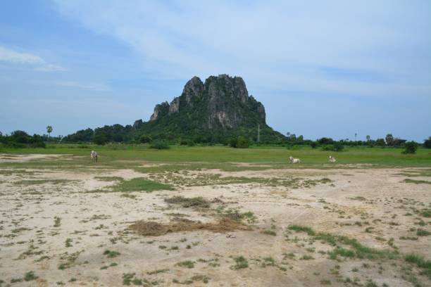istock Khao Nang Phanthurat Forest Park, Thailand 645618748