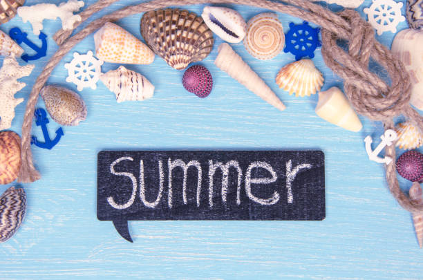 istock summer background made of seashells and Maritime objects 645622530