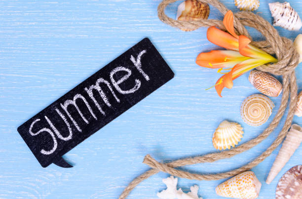istock summer background made of seashells and Maritime objects 645622552