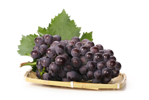 uve fresche con foglie isolate su sfondo bianco - dark blue grapes foto e immagini stock