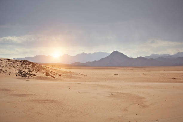 sinai desert - sinai peninsula 뉴스 사진 이미지