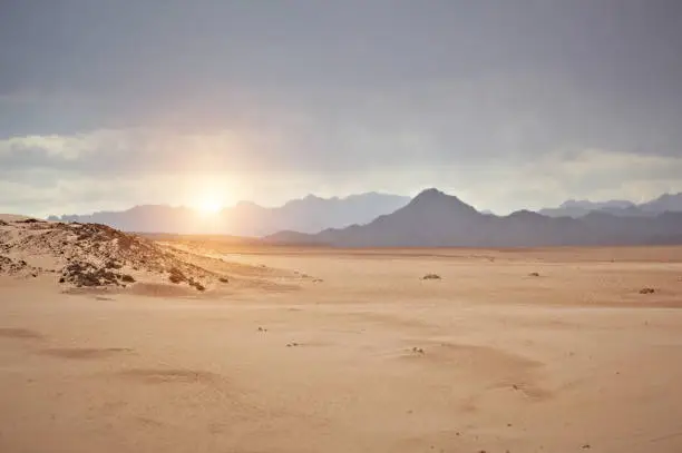 Sinai desert at sunset